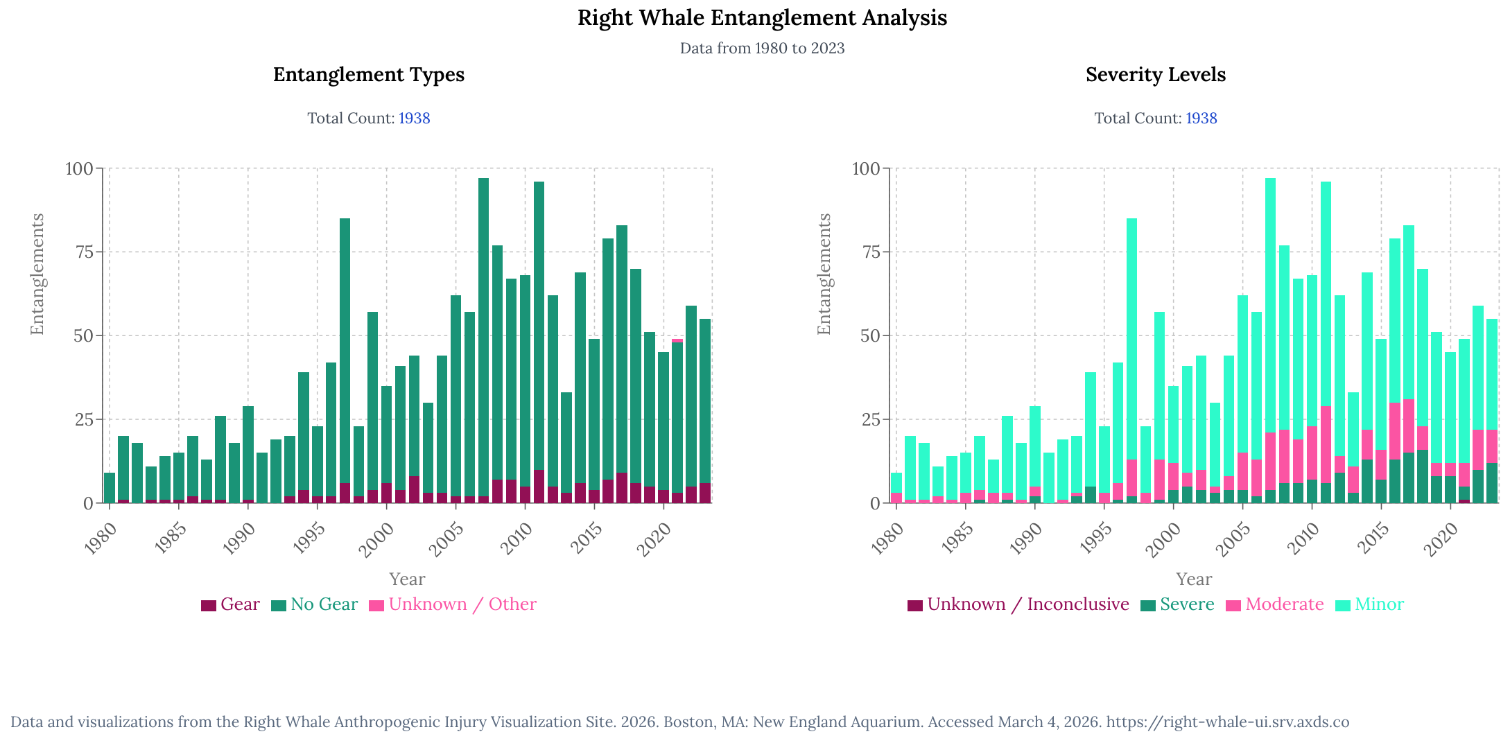 RWAVE entanglement analysis 2026 Right whale #3346 “Kingfisher” with gear around right flipper. Some of this gear removed during disentanglement events were traced back to the Maine lobster fishery. He has not been seen since 2015 and is presumed dead. Florida Fish & Wildlife Conservation Commission, taken under NOAA permit # 932-1905/MA-009526